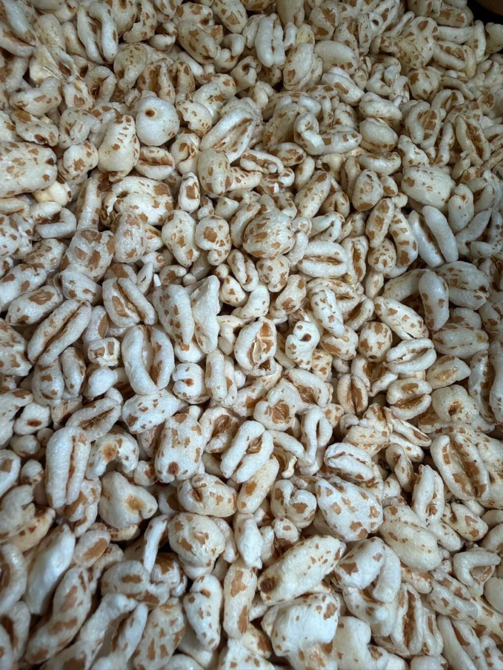 farro-soffiato-bio-100-gr
