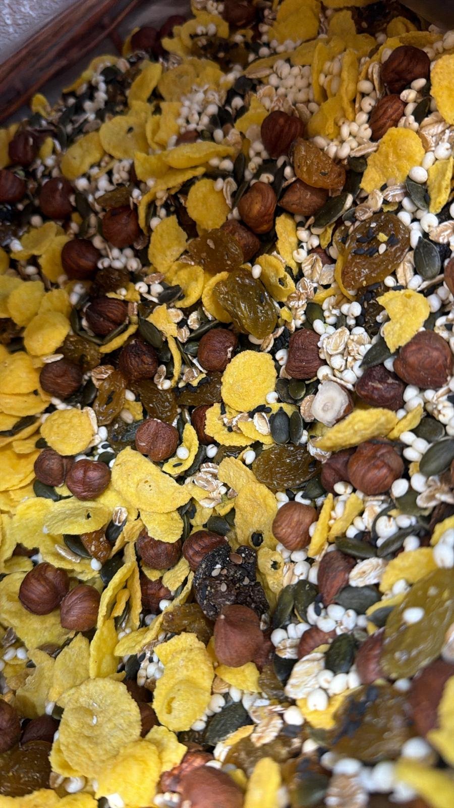 muesli-ricostituente-100-gr