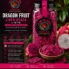 Dragon Fruit Liofilizzata a Fette Premium – da Patrizia 50gm